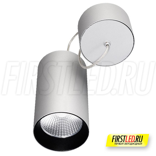 Подвесной светодиодный светильник POLONIUM S Silver 15W (черная вставка)